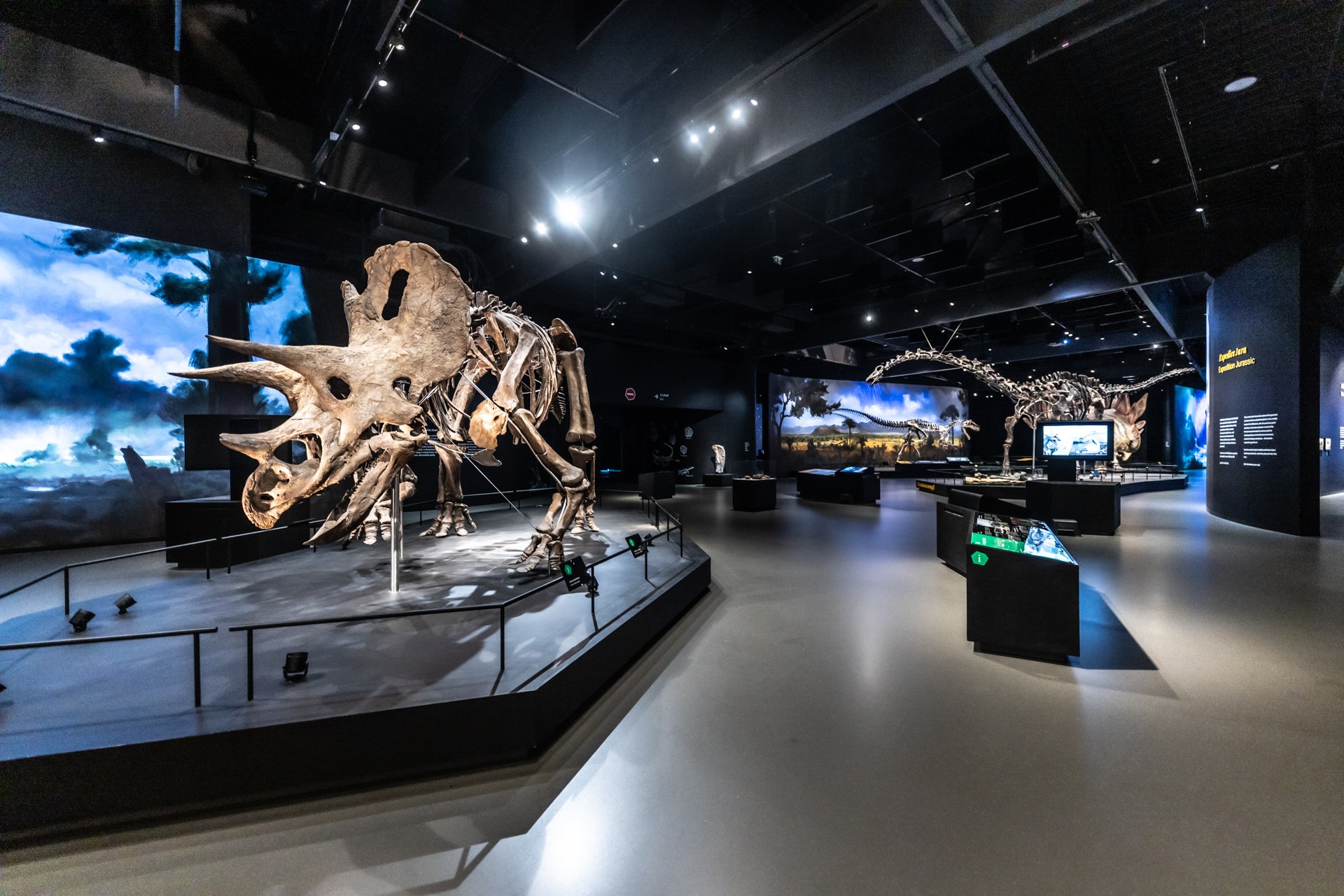 Firemní akce@Dinosauria Museum Prague