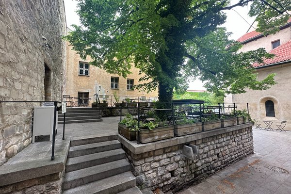 Anežka - náhled 15