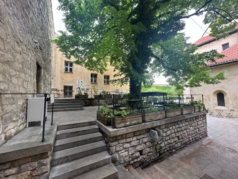 Anežka - náhled 15