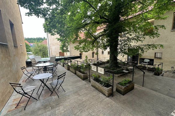 Anežka - náhled 16