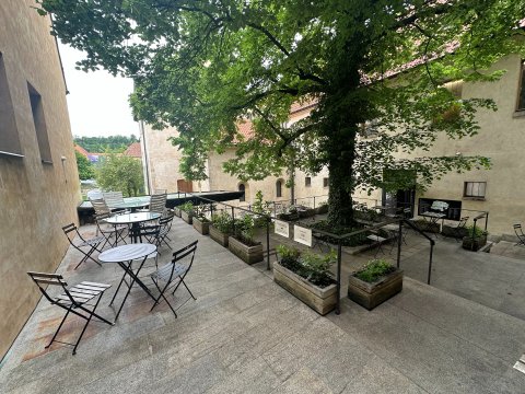 Anežka - náhled 16