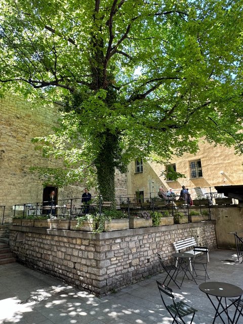 Anežka - náhled 17