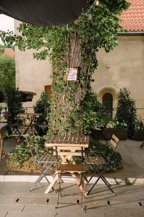 Anežka - Zahrádka - náhled 4