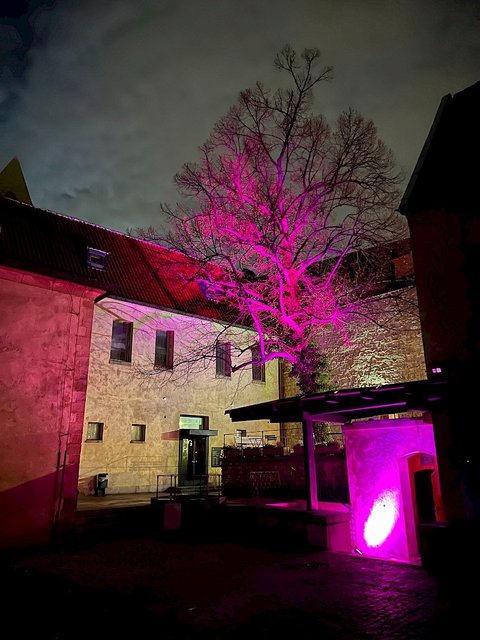 Anežka - Zahrádka - náhled 7