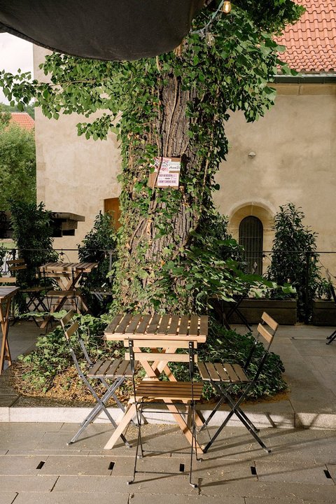 Anežka - Zahrádka - náhled 17