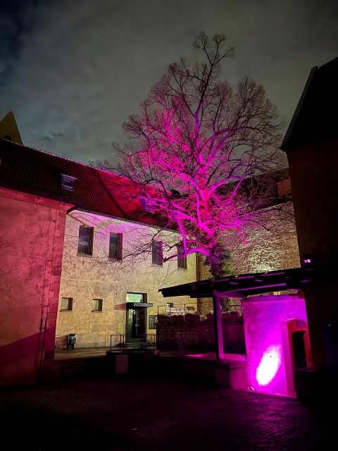 Anežka - Zahrádka - náhled 18