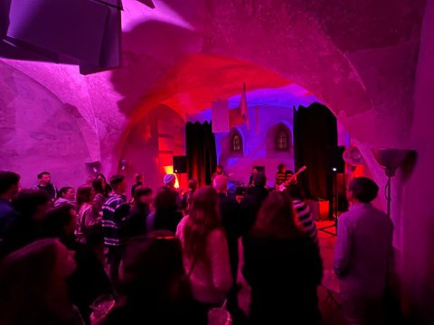 Anežka - Vilemína - náhled 5