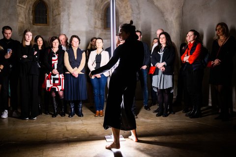 Anežka - Vilemína - náhled 8