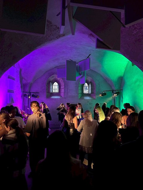 Anežka - Vilemína - náhled 20