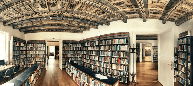 Anglo-americká vysoká škola - obrázek 1