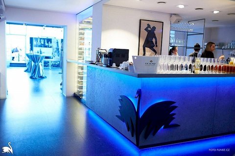 Art & Event Gallery Černá Labuť - náhled 5