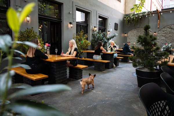 Arthur's - náhled 13