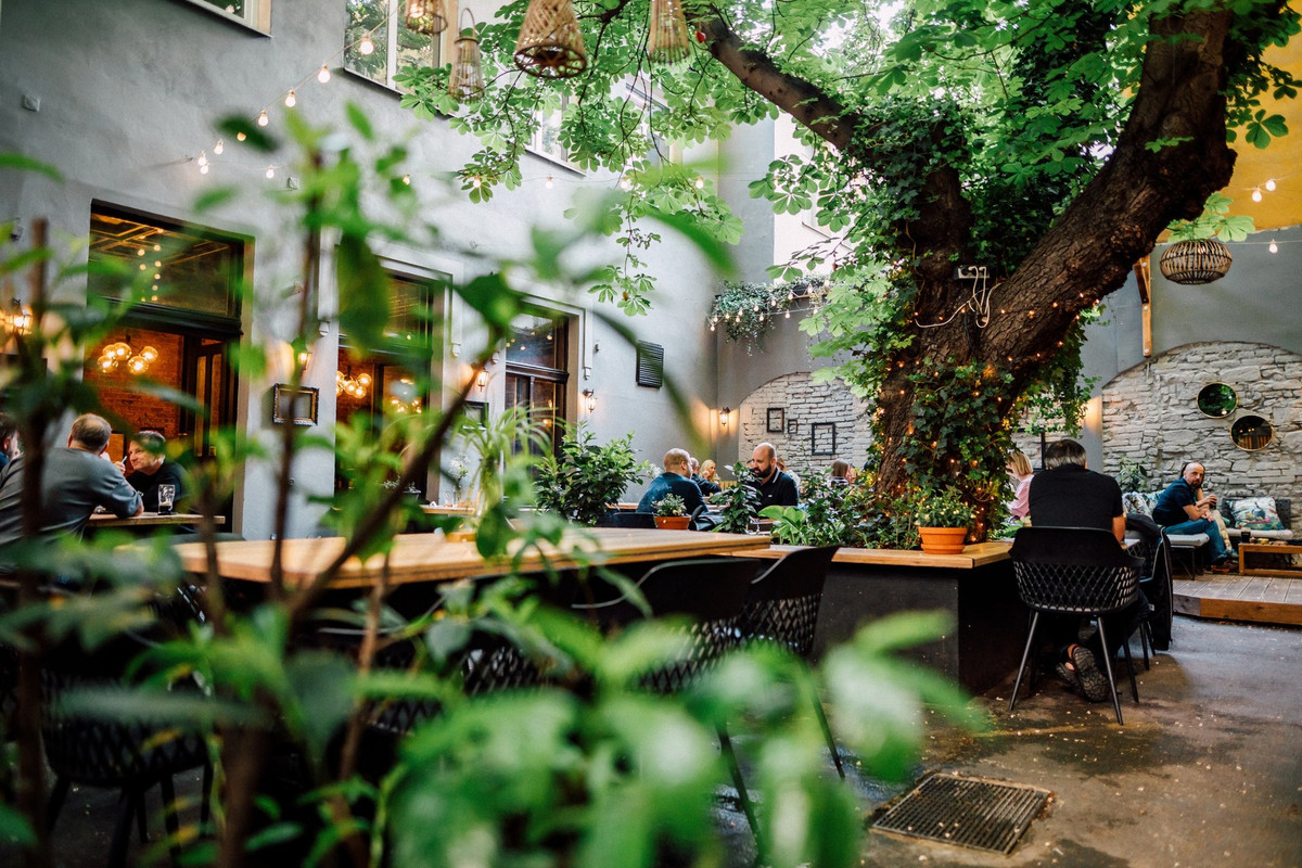 Zahrádka@Arthur's - obrázek 1