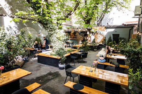 Arthur's - Zahrádka - náhled 13