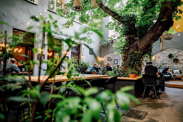 Zahrádka@Arthur's - náhled 16