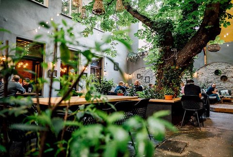 Arthur's - Zahrádka - náhled 16