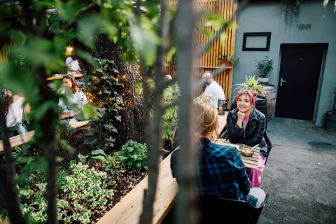 Arthur's - Zahrádka - náhled 26