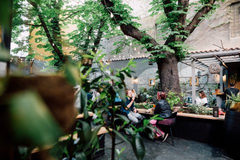 Arthur's - Zahrádka - náhled 29