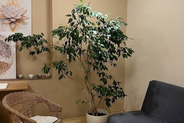 ATMA Community Space - náhled 16