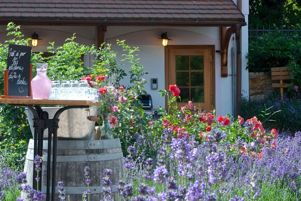 Restaurace Babiččina zahrada - náhled 5