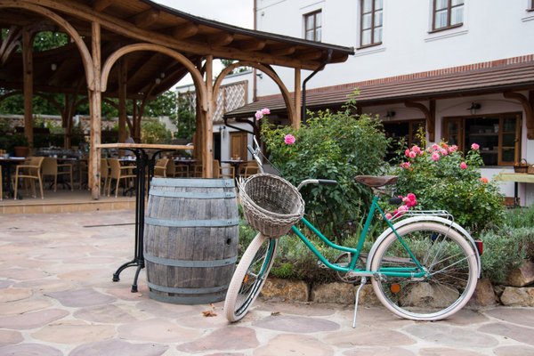 Restaurace Babiččina zahrada - náhled 6