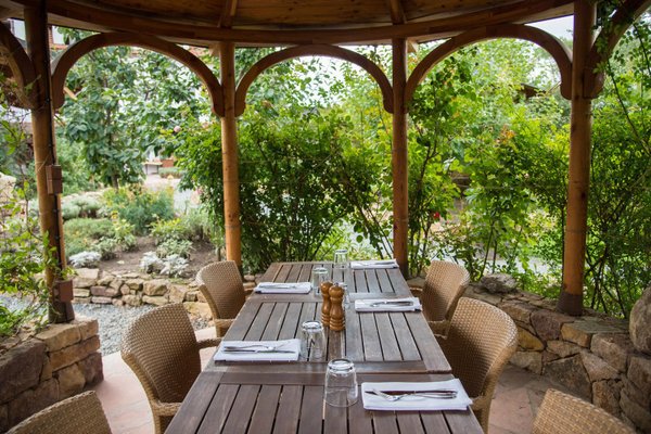 Restaurace Babiččina zahrada - náhled 10