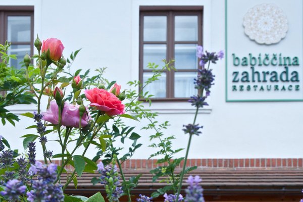 Restaurace Babiččina zahrada - náhled 23