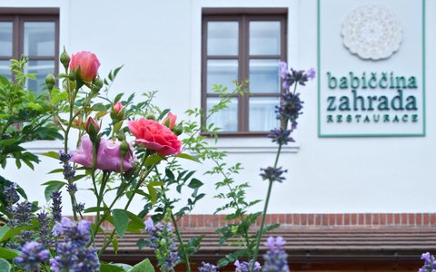 Restaurace Babiččina zahrada - náhled 25
