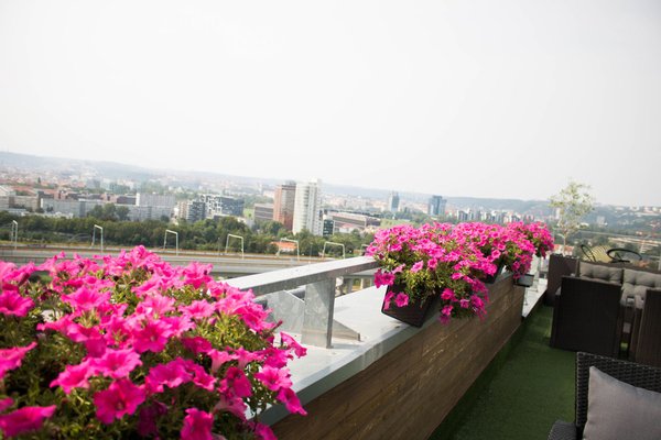 Balu Kitchen - náhled 4