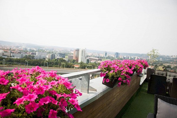 Balu Kitchen - náhled 17