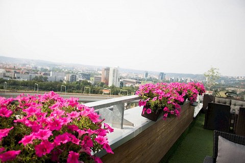 Balu Kitchen - náhled 17