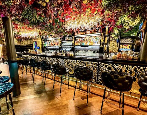 Bar & Klub Zlatý Strom - náhled 10