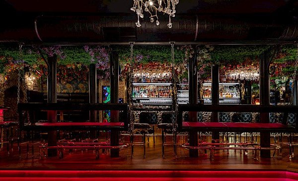 Bar & Klub Zlatý Strom - náhled 11