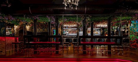 Bar & Klub Zlatý Strom - náhled 11