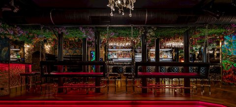 Bar & Klub Zlatý Strom - náhled 12