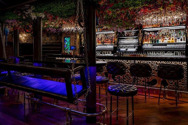 Bar & Klub Zlatý Strom - náhled 13