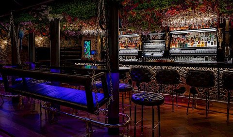 Bar & Klub Zlatý Strom - náhled 13