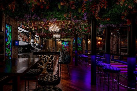 Bar & Klub Zlatý Strom - náhled 19