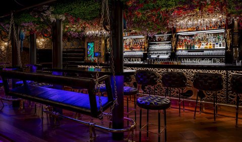 Bar & Klub Zlatý Strom - náhled 23