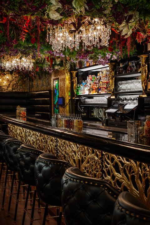 Bar & Klub Zlatý Strom - náhled 28