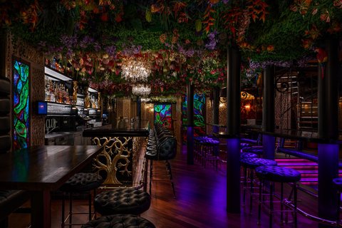 Bar & Klub Zlatý Strom - náhled 30