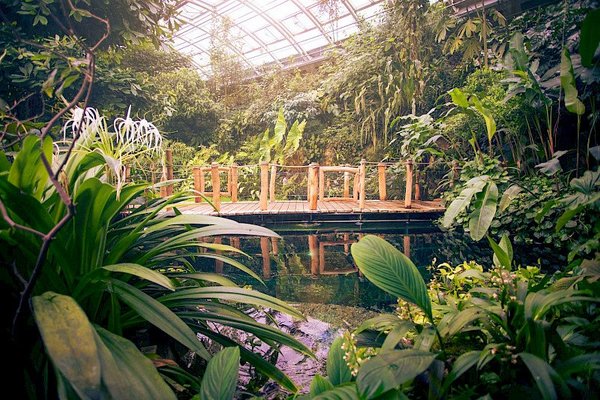 Botanická zahrada Praha - náhled 6