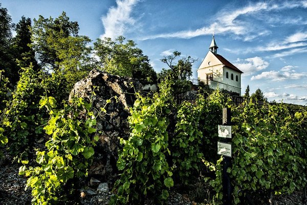 Botanická zahrada Praha - náhled 7