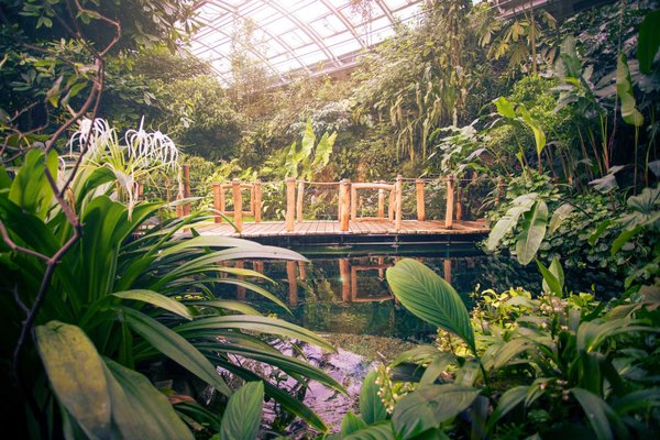 Botanická zahrada Praha - náhled 14