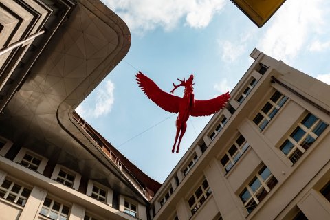 Červený Jelen - náhled 18