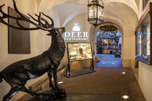 Deer Restaurant Prague - náhled 3