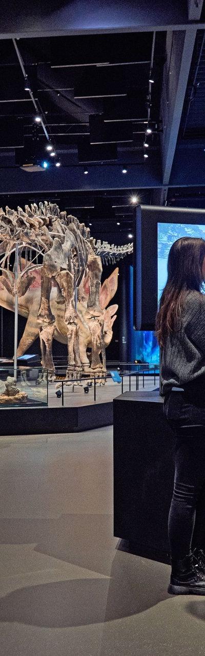 Dinosauria Museum Prague