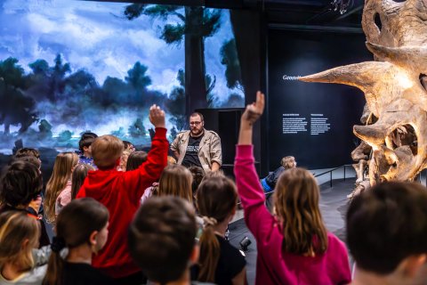 Dinosauria Museum Prague - náhled 3