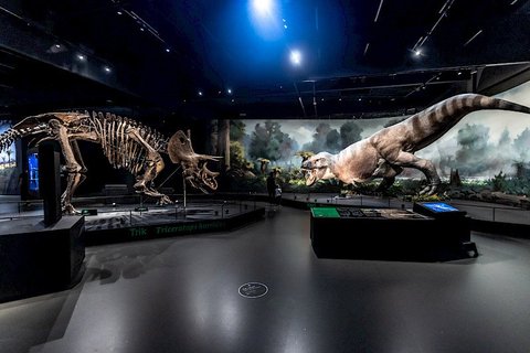 Dinosauria Museum Prague - náhled 13