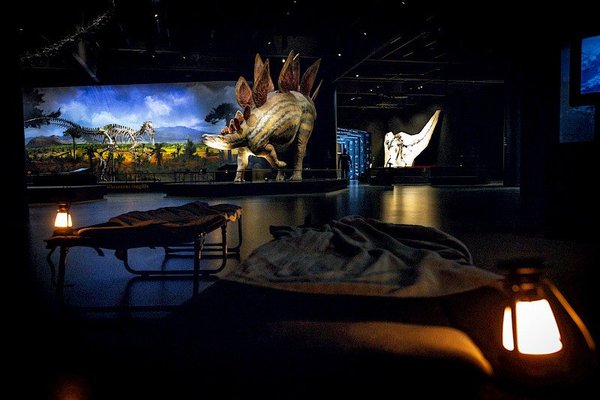 Dinosauria Museum Prague - náhled 16